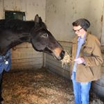 Connor Haines - Instagram Profile Picture of Connor Haines (@connorbhaines) on Instagram