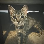 Profile Picture of Chloe Mullins (@Chloe-Mullins) on Facebook