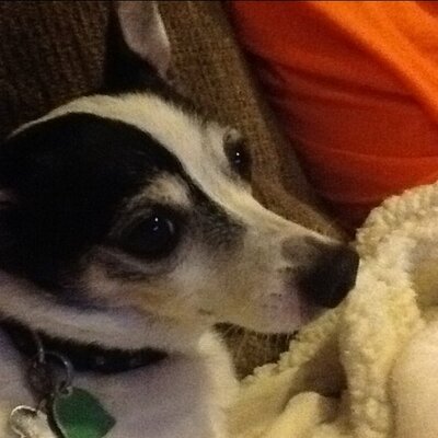 Profile Picture of Joe McCarter (@Jmccarterpe) on Twitter