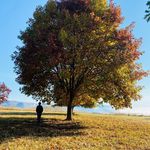 Profile Picture of Debbie Pappas (@debbiepappas73) on Instagram