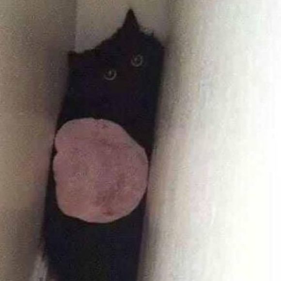 Profile Picture of Jon Jay (@jonjay308) on Poshmark