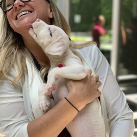 Profile Picture of Sarah Gmyr (@sarahgmyr) on Pinterest