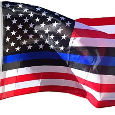 Profile Picture of Robert Remington (@bestdoggiedad) on Twitter