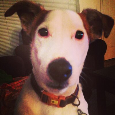 Profile Picture of Jamie Mcanly (@jamiemcanly) on Twitter