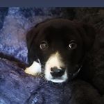 Profile Picture of Danny Gear (@danny.gear.33) on Instagram