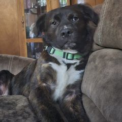 Profile Picture of michaelmcclelland21 (@michaelmcclelland21) on Tiktok