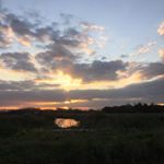 Rani - Instagram Profile Picture of Rani (@kevin_vadenbergh) on Instagram