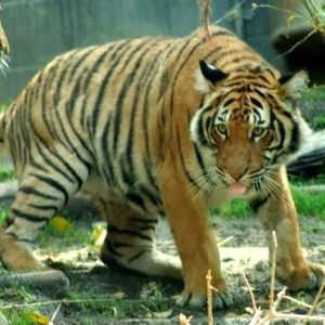 Profile Picture of Haley N (@393695339) on Myspace