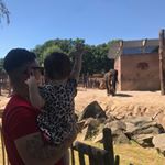 Profile Picture of MichaelMichael (@tongerenmichaelvan) on Instagram