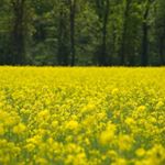 Profile Picture of Thomas Bruhn (@wardenburger_wetterstation) on Instagram