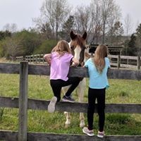 Profile Picture of Cindy Travis (@cindy-travis-12) on Quora
