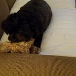 Ellen Graham-Knight - Instagram Profile Picture of Ellen Graham-Knight (@ellengrahamknight) on Instagram