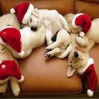 Glenda Richard - Facebook Profile Picture of Glenda Richard (@Glenda-Richard) on Facebook