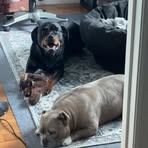 Profile Picture of Derrick Landers (@derrick.landers.719508) on Facebook