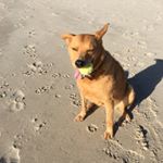 Profile Picture of Michael Schlott (@michael.schlott) on Instagram