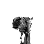 Profile Picture of Grace Walsh (@gawalsh) on Flickr