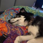 Profile Picture of Kylie Schroeder (@kylierae1128) on Instagram