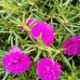 Profile Picture of Yaj Neeb (@Yaj-Neeb) on Facebook