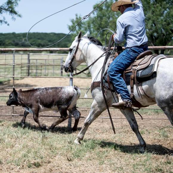 Profile Picture of Cody Horwedel (@horwedeldesigns) on Poshmark