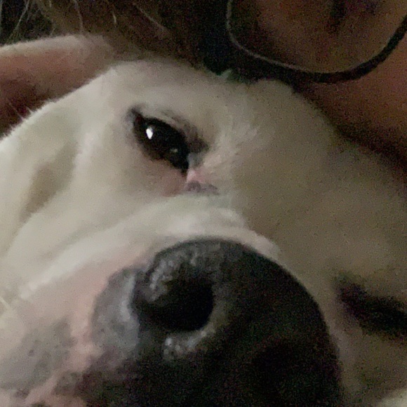 Profile Picture of Carli Cogliano (@carli_cogliano) on Poshmark