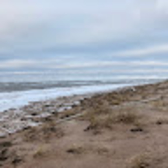 Profile Picture of Alanna Robertson vreeland (@arvree) on Poshmark