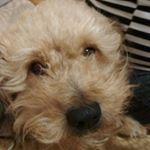 Profile Picture of Маргарита (@rita.makosh) on Instagram