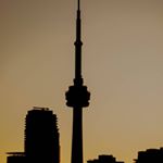 Logan - Instagram Profile Picture of Logan (@logan_morais) on Instagram