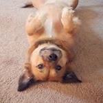 Profile Picture of Ruby Star Earls (@apupnamedruby) on Instagram