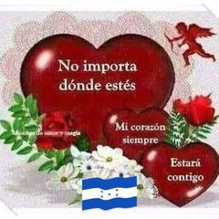 Profile Picture of Tony Cerrato (@tony.cerrato) on Tiktok