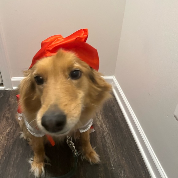 Danielle Mcney - Poshmark Profile Picture of Danielle Mcney (@daniellemcney) on Poshmark