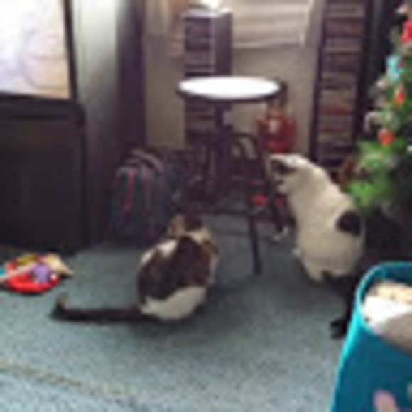 Profile Picture of Ericka Adderley (@erickaadderley) on Poshmark