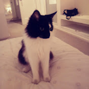 Profile Picture of Rafaela Alzamora (@rafaelaalzamora6674) on Youtube