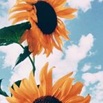 Profile Picture of Danielle (@danielle_albrecht08) on Instagram