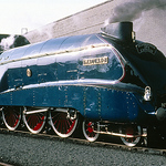 Profile Picture of Bryan James Willis (@bryan james2013) on Flickr