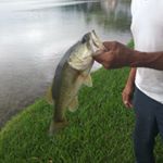 Profile Picture of Christopher Knowles (@the_fisherman_chris) on Instagram