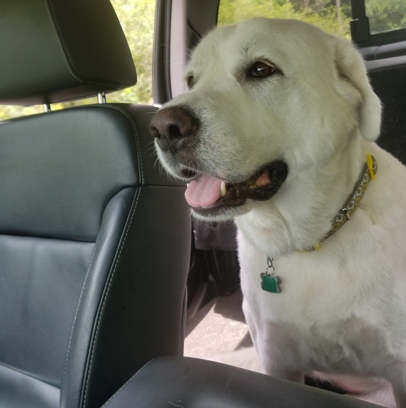 Profile Picture of Ryan Arcemont (@rarcemont3000) on Poshmark