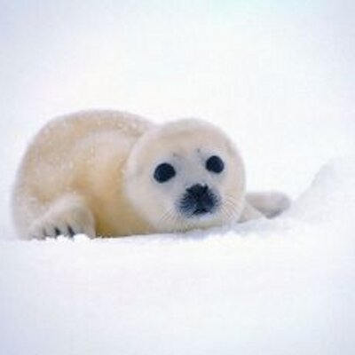 Edith Valerio Lozada - Twitter Profile Picture of Edith Valerio Lozada (@edithvalerioloz) on Twitter