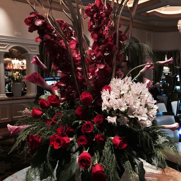 Profile Picture of Eleanor Moczygemba (@moczel) on Poshmark