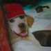Profile Picture of Tony Blakeley (@tony.blakeley.52) on Facebook