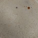 bernie_rocé - Instagram Profile Picture of bernie_rocé (@bernie_roce) on Instagram