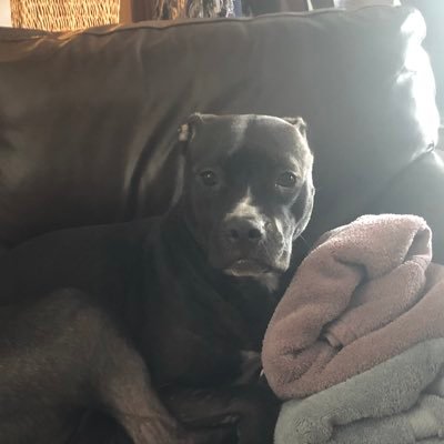 Profile Picture of Max Clevenger (@DeeClev1969) on Twitter