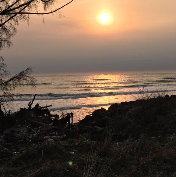 Profile Picture of Stacy Wehrer (@stacywehrer) on Poshmark