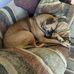 Profile Picture of Bruce Bones Wheelright (Bones) (@Bruce-Bones-Wheelright) on Facebook
