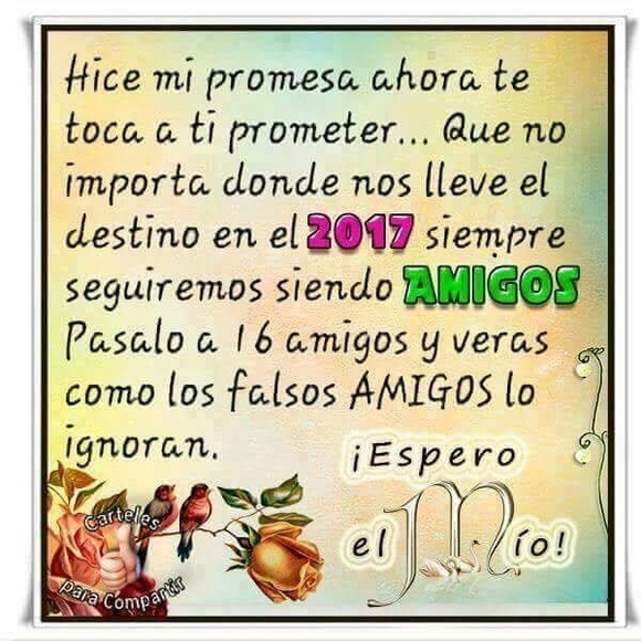 Profile Picture of Laura Trifiletti (@lauratrif1712) on Poshmark