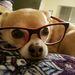 Profile Picture of Jaime Stanford (@CirinaElci) on Pinterest