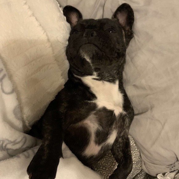 Profile Picture of Jaime Perales (@jperales06) on Poshmark