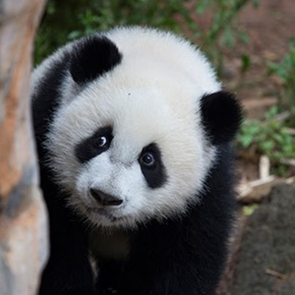 Profile Picture of Hazel Parker (@hazelmirth) on Poshmark