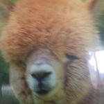 Profile Picture of zachary_conover (@zachary_conover) on Instagram