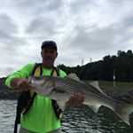 Profile Picture of Brad Frye (@bradf66) on Instagram