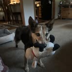 Profile Picture of Brian Engebretson (@brian.engebretson.92560) on Facebook